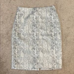 Ann Taylor Pencil Skirt